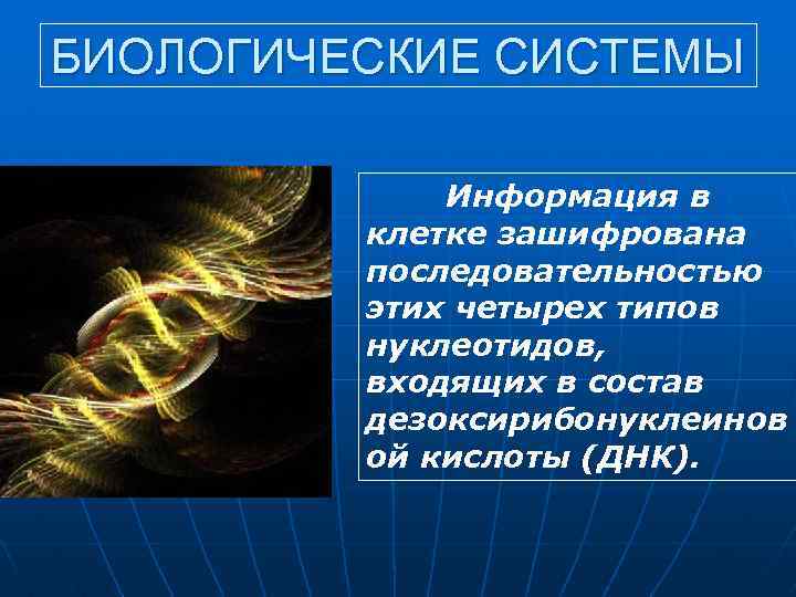 БИОЛОГИЧЕСКИЕ СИСТЕМЫ Информация в клетке зашифрована последовательностью этих четырех типов нуклеотидов, входящих в состав