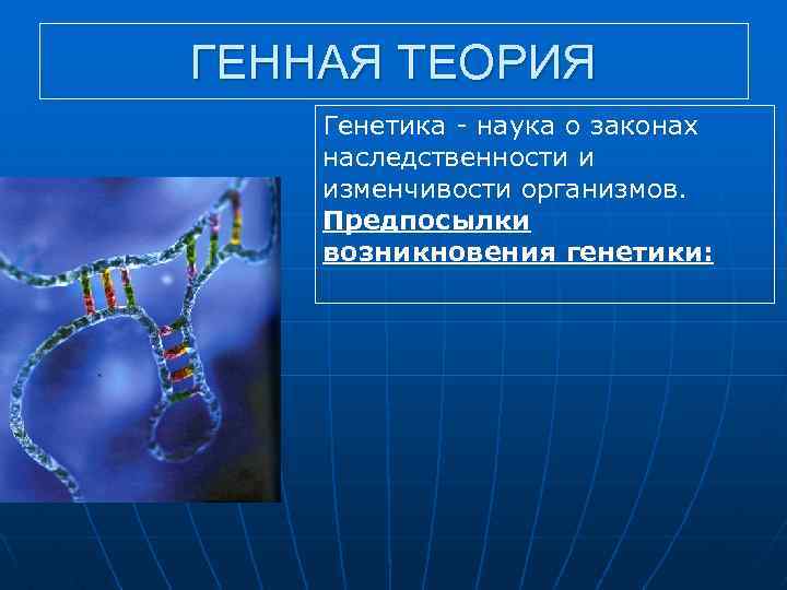 ГЕННАЯ ТЕОРИЯ Генетика наука о законах наследственности и изменчивости организмов. Предпосылки возникновения генетики: 