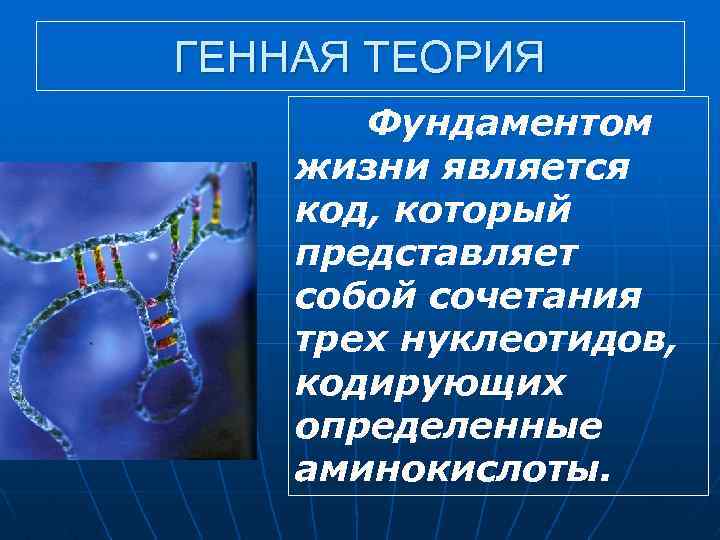 ГЕННАЯ ТЕОРИЯ Фундаментом жизни является код, который представляет собой сочетания трех нуклеотидов, кодирующих определенные