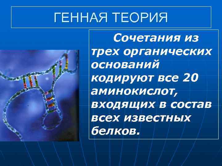 ГЕННАЯ ТЕОРИЯ Сочетания из трех органических оснований кодируют все 20 аминокислот, входящих в состав