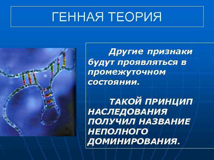 ГЕННАЯ ТЕОРИЯ Другие признаки будут проявляться в промежуточном состоянии. ТАКОЙ ПРИНЦИП НАСЛЕДОВАНИЯ ПОЛУЧИЛ НАЗВАНИЕ