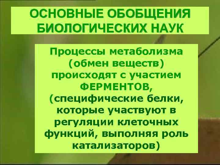 ОСНОВНЫЕ ОБОБЩЕНИЯ БИОЛОГИЧЕСКИХ НАУК Процессы метаболизма (обмен веществ) происходят с участием ФЕРМЕНТОВ, (специфические белки,