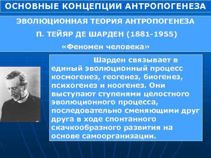 ОСНОВНЫЕ КОНЦЕПЦИИ АНТРОПОГЕНЕЗА ЭВОЛЮЦИОННАЯ ТЕОРИЯ АНТРОПОГЕНЕЗА П. ТЕЙЯР ДЕ ШАРДЕН (1881 1955) «Феномен человека»