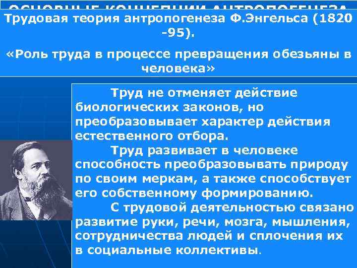 ОСНОВНЫЕ КОНЦЕПЦИИ АНТРОПОГЕНЕЗА Трудовая теория антропогенеза Ф. Энгельса (1820 95). «Роль труда в процессе