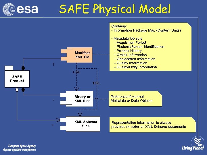 SAFE Physical Model 