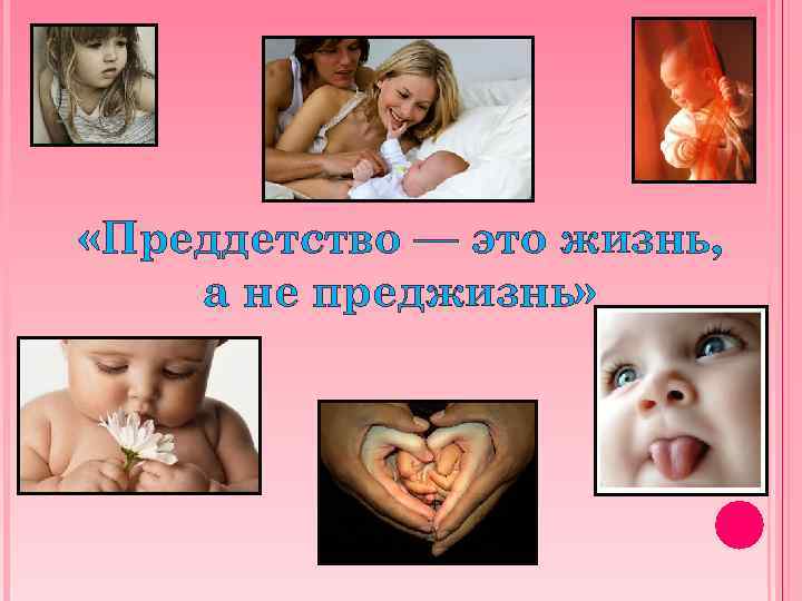  «Преддетство — это жизнь, а не преджизнь» 