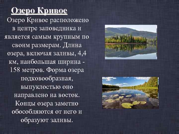 Озеро Кривое расположено в центре заповедника и является самым крупным по своим размерам. Длина