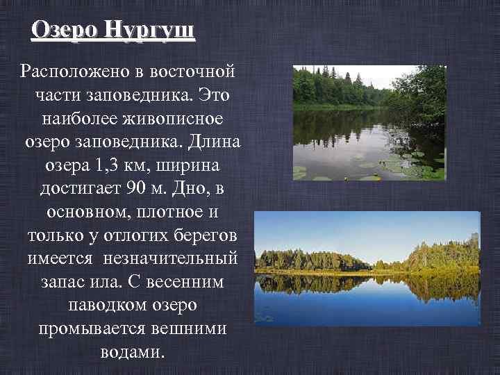 Озеро Нургуш Расположено в восточной части заповедника. Это наиболее живописное озеро заповедника. Длина озера