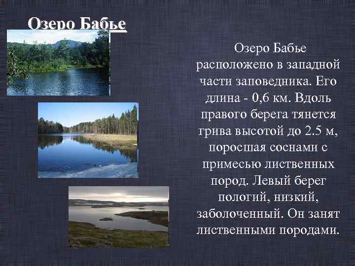 Озеро Бабье расположено в западной части заповедника. Его длина - 0, 6 км. Вдоль