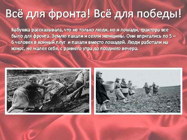 Всё для фронта! Всё для победы! Бабушка рассказывала, что не только люди, но и