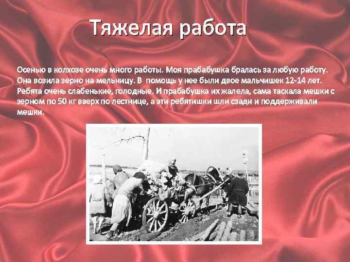 Тяжелая работа Осенью в колхозе очень много работы. Моя прабабушка бралась за любую работу.