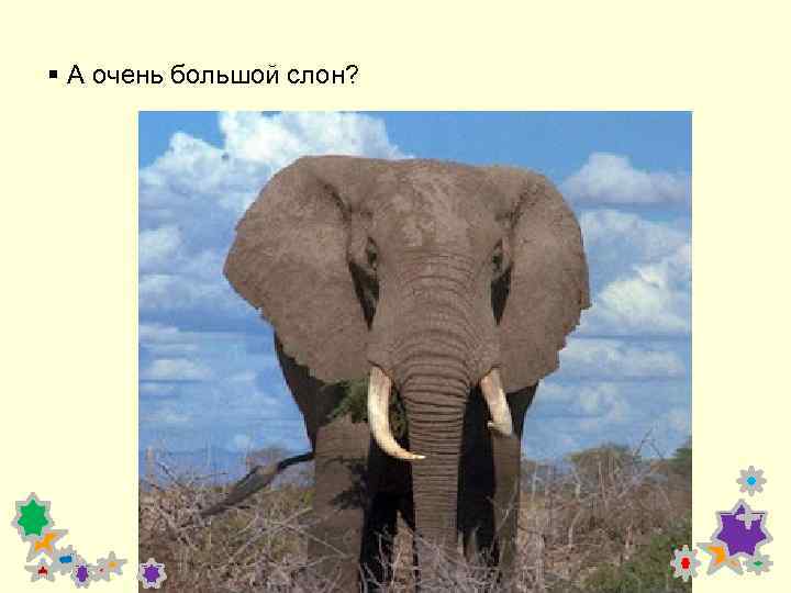 § А очень большой слон? 