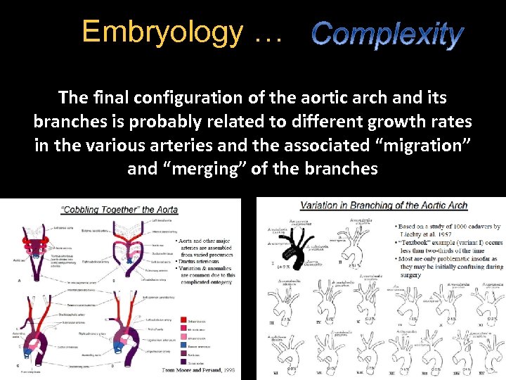 Embryology … The final configuration of the aortic arch and its branches is probably