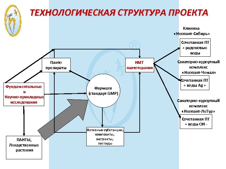 ТЕХНОЛОГИЧЕСКАЯ СТРУКТУРА ПРОЕКТА Клиника «Неопант-Сибирь» Сочетанная ПТ + радоновые воды Панто препараты Фундаментальные и