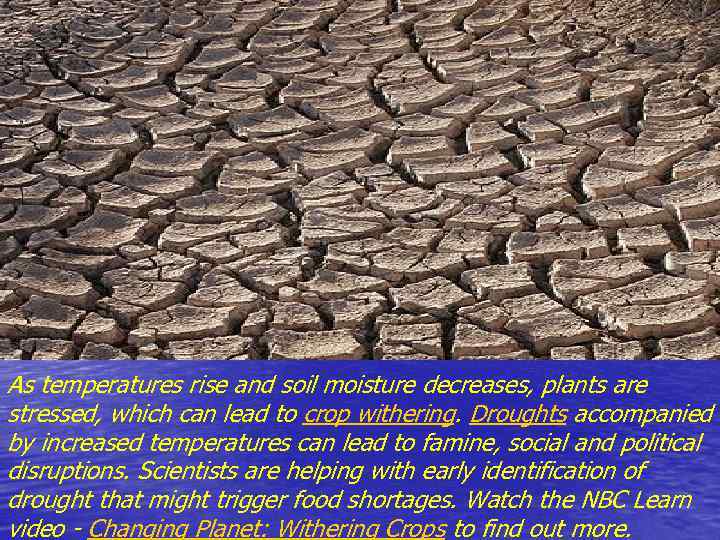 As temperatures rise and soil moisture decreases, plants are stressed, which can lead to