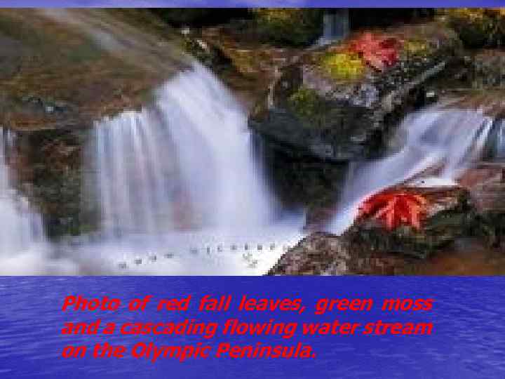 Photo of red fall leaves, green moss and a cascading flowing water stream on