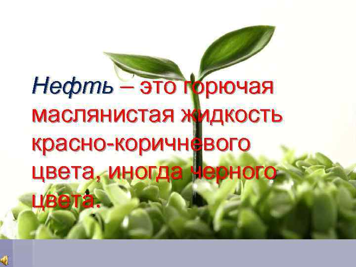 Нефть – это горючая маслянистая жидкость красно-коричневого цвета, иногда черного цвета. 