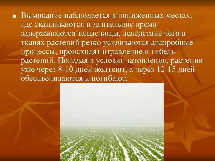 n Вымокание наблюдается в пониженных местах, где скапливаются и длительное время задерживаются талые воды,