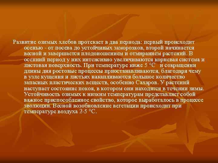 Развитие озимых хлебов протекает в два периода: первый происходит осенью - от посева до