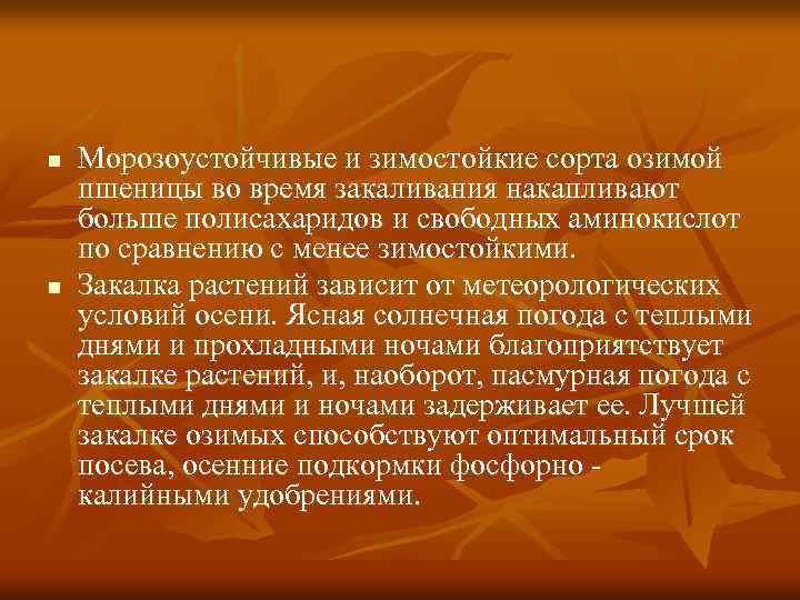 n n Морозоустойчивые и зимостойкие сорта озимой пшеницы во время закаливания накапливают больше полисахаридов