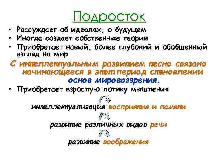 Подросток • Рассуждает об идеалах, о будущем • Иногда создает собственные теории • Приобретает