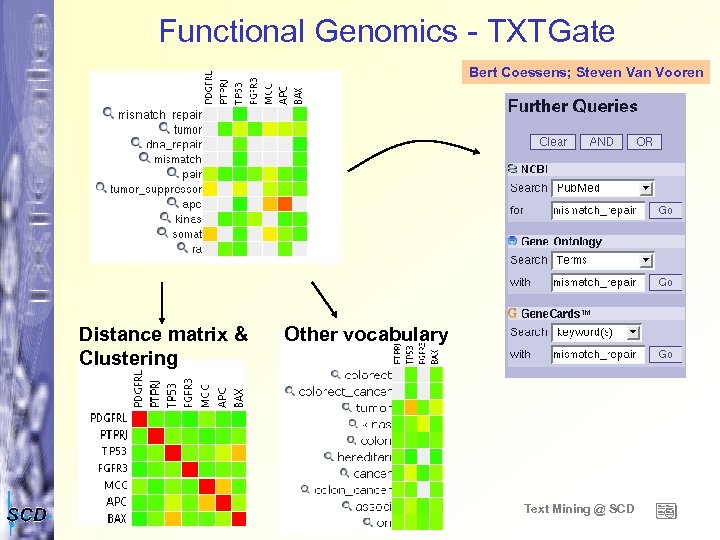 Functional Genomics - TXTGate Bert Coessens; Steven Van Vooren Distance matrix & Clustering Other