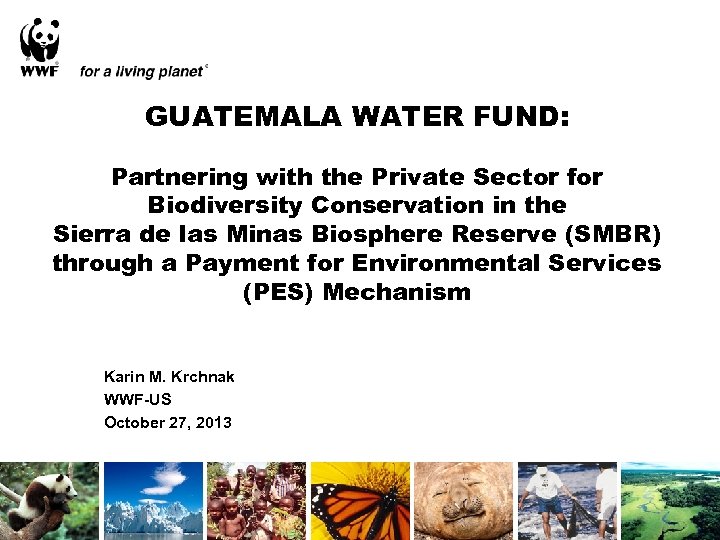 GUATEMALA WATER FUND: Partnering with the Private Sector for Biodiversity Conservation in the Sierra