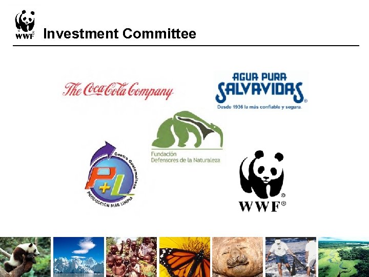 Investment Committee 