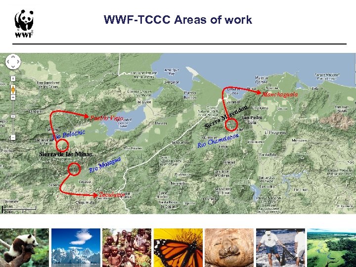 WWF-TCCC Areas of work Manchaguala on Pueblo Viejo r Sie ochic Rio Pol ra