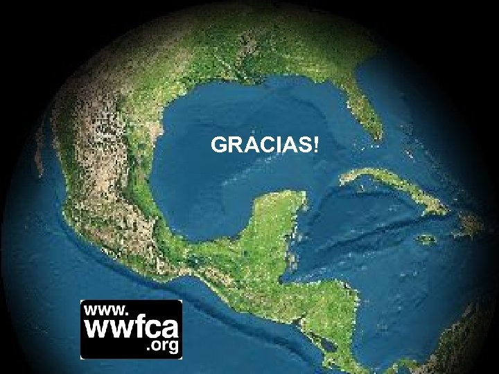 Believe it or not, branding a PPT is easier than dancing with an elephant.