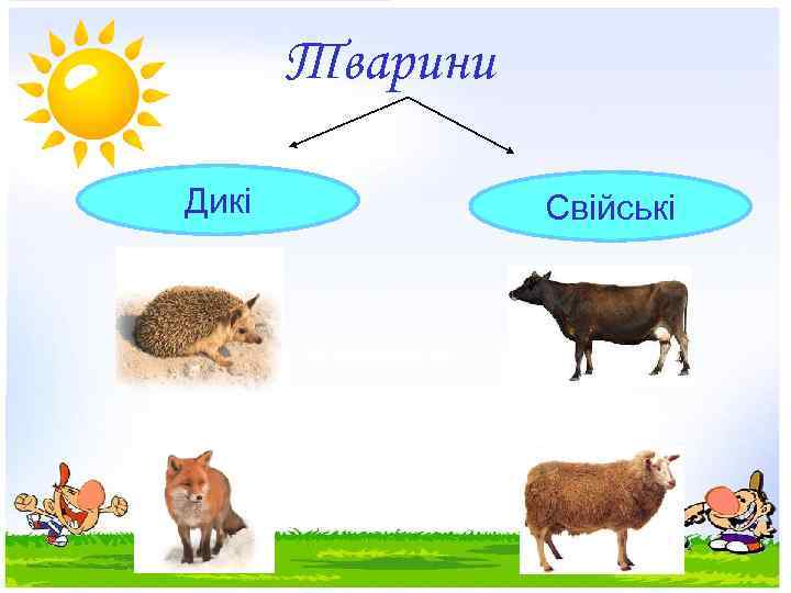 Тварини Дикі Свійські 