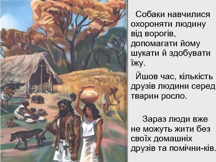 Собаки навчилися охороняти людину від ворогів, допомагати йому шукати й здобувати їжу. Йшов час,