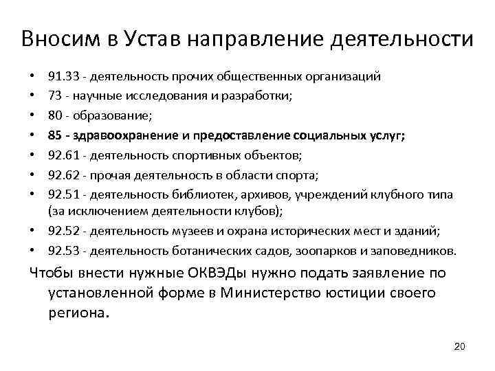Вносим в Устав направление деятельности 91. 33 - деятельность прочих общественных организаций 73 -