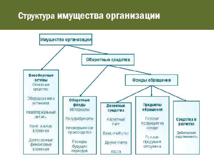 Структура имущества организации 