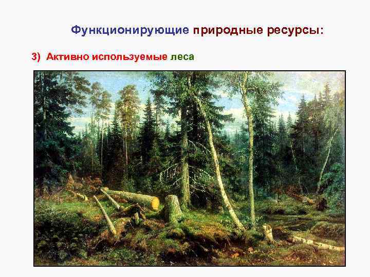 Функционирующие природные ресурсы: 3) Активно используемые леса 