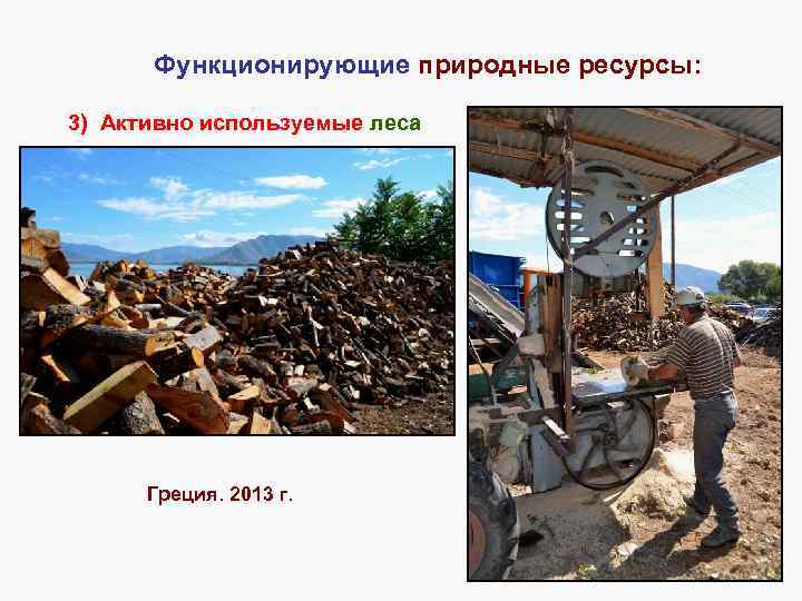 Функционирующие природные ресурсы: 3) Активно используемые леса Греция. 2013 г. 