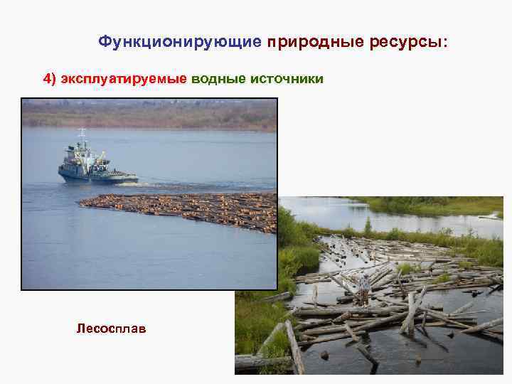 Функционирующие природные ресурсы: 4) эксплуатируемые водные источники Лесосплав 