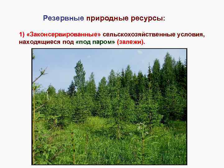 Резервные природные ресурсы: 1) «Законсервированные» сельскохозяйственные условия, находящиеся под «под паром» (залежи). 