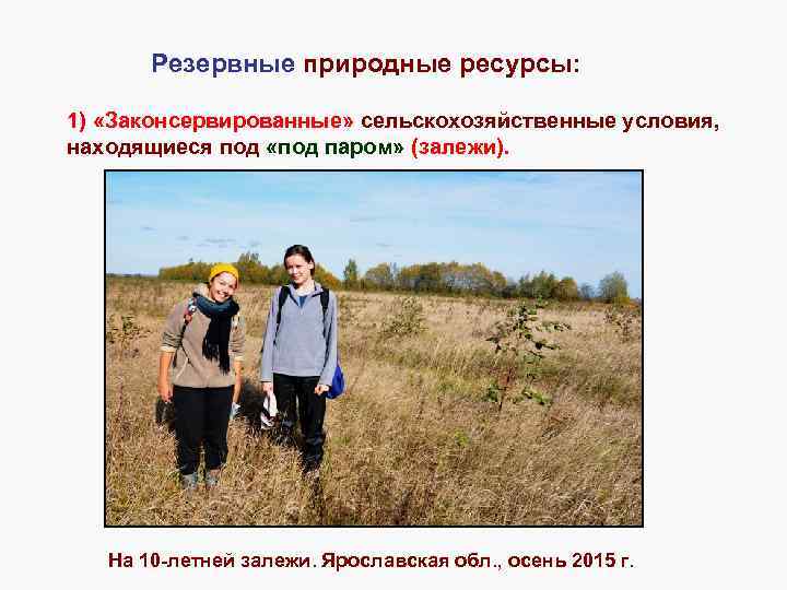 Резервные природные ресурсы: 1) «Законсервированные» сельскохозяйственные условия, находящиеся под «под паром» (залежи). На 10