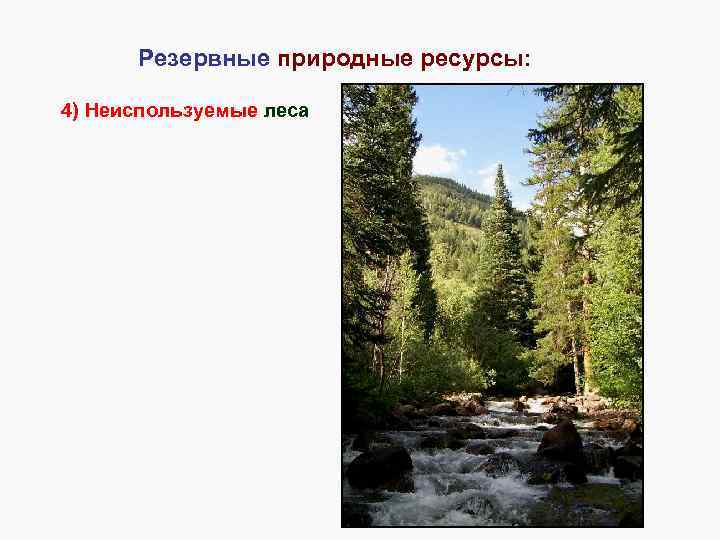 Резервные природные ресурсы: 4) Неиспользуемые леса 