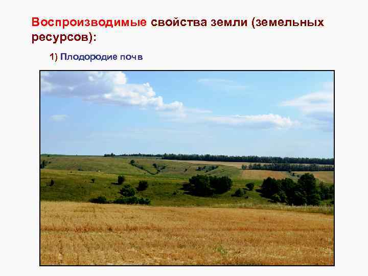 Воспроизводимые свойства земли (земельных ресурсов): 1) Плодородие почв 
