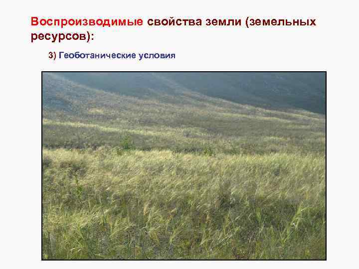 Воспроизводимые свойства земли (земельных ресурсов): 3) Геоботанические условия 