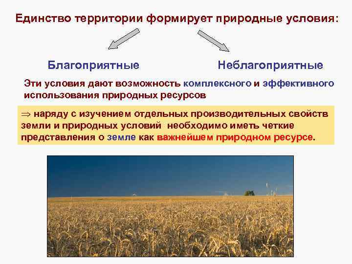 Единство территории формирует природные условия: Благоприятные Неблагоприятные Эти условия дают возможность комплексного и эффективного