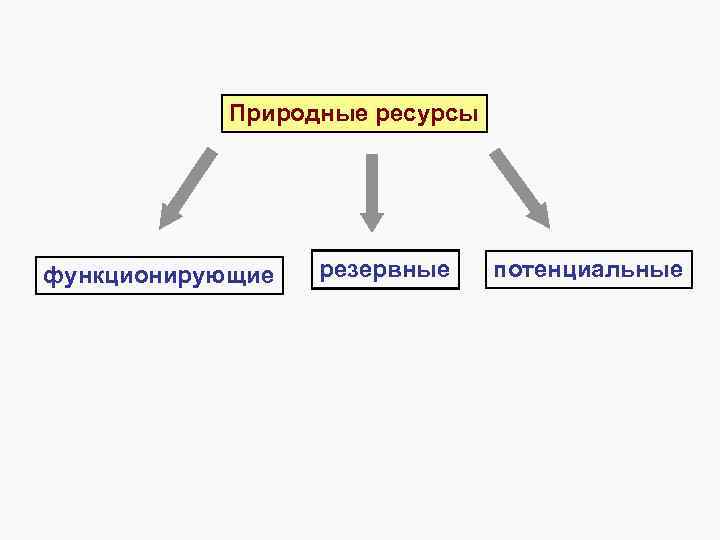 Природные ресурсы функционирующие резервные потенциальные 
