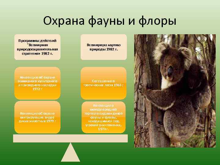 Охрана фауны и флоры Программы действий 