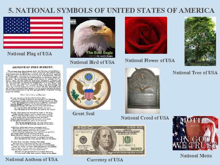 5. NATIONAL SYMBOLS OF UNITED STATES OF AMERICA National Flag of USA National Flower