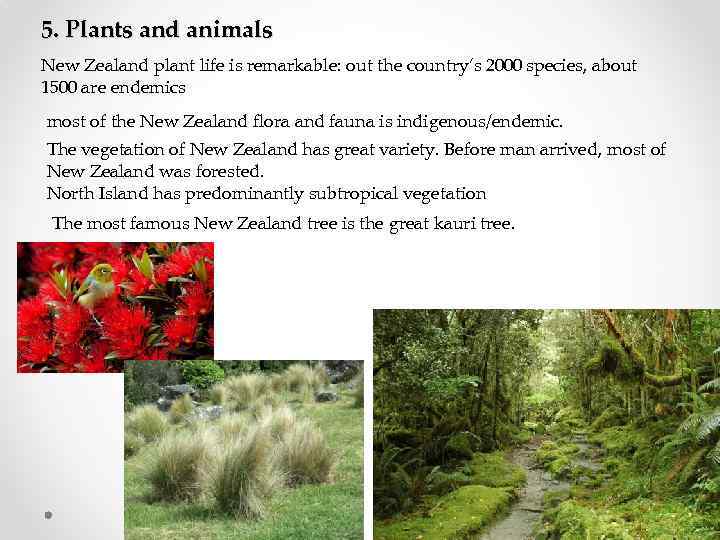 5. Plants and animals New Zealand plant life is remarkable: out the country’s 2000