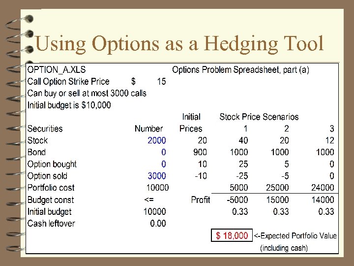 Using Options as a Hedging Tool 