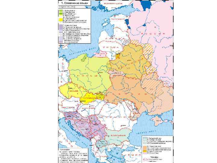 Руслан Дохов – 2013 Географический факультет МГУ 