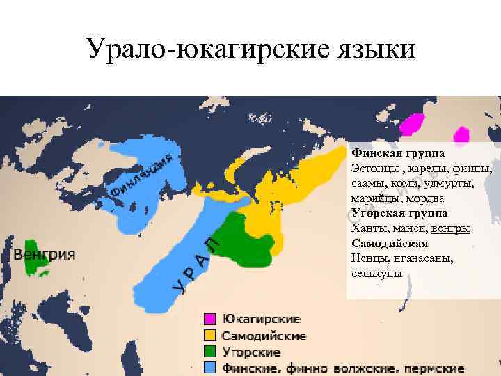 Руслан Дохов – 2013 Географический факультет МГУ Урало-юкагирские языки Финская группа Эстонцы , карелы,